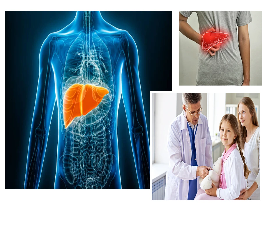 Goals of Pediatric Gastroenterology Care