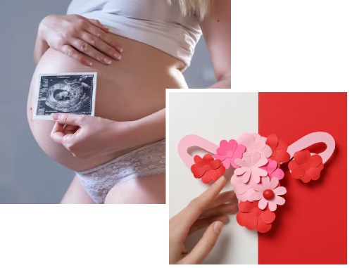 Gynecology & Obstetrics