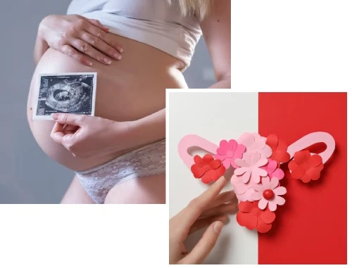 Gynecology & Obstetrics