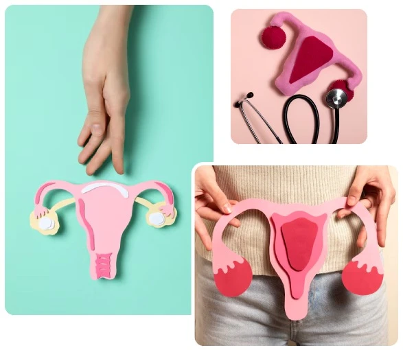 Gynecology & Obstetrics