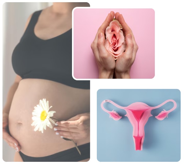 Gynecology & Obstetrics