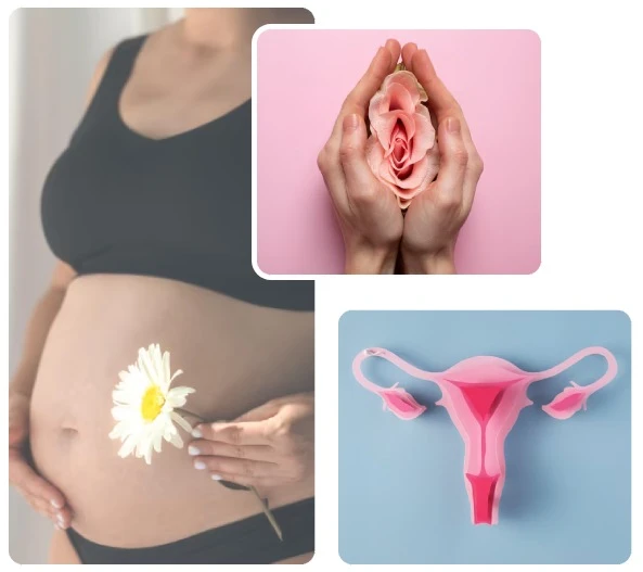 Gynecology & Obstetrics