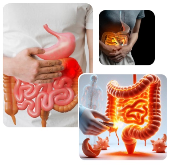 Gastroenterology