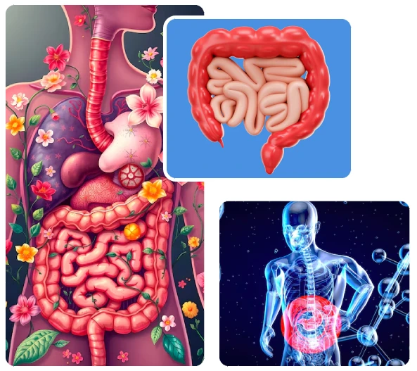 Advanced Gastroenterology Procedures