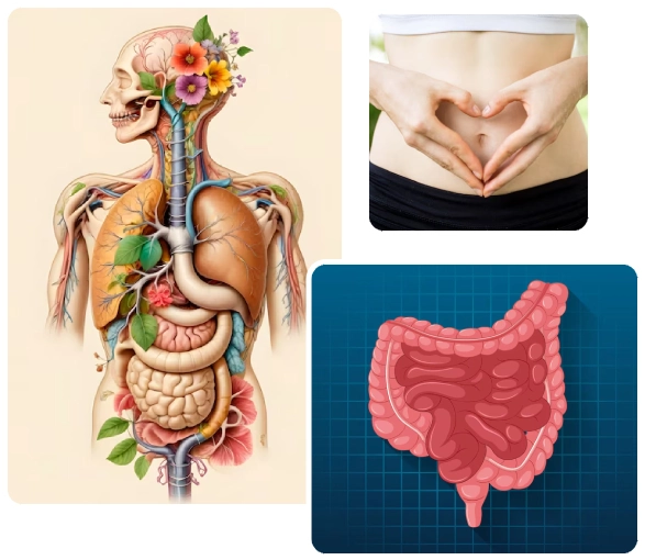 Gastroenterology Treatment Options