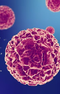 Cancer Treatment Cancer Treatment