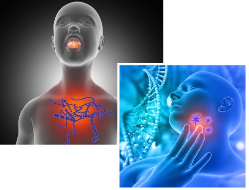 Understanding Endocrinology Understanding Endocrinology